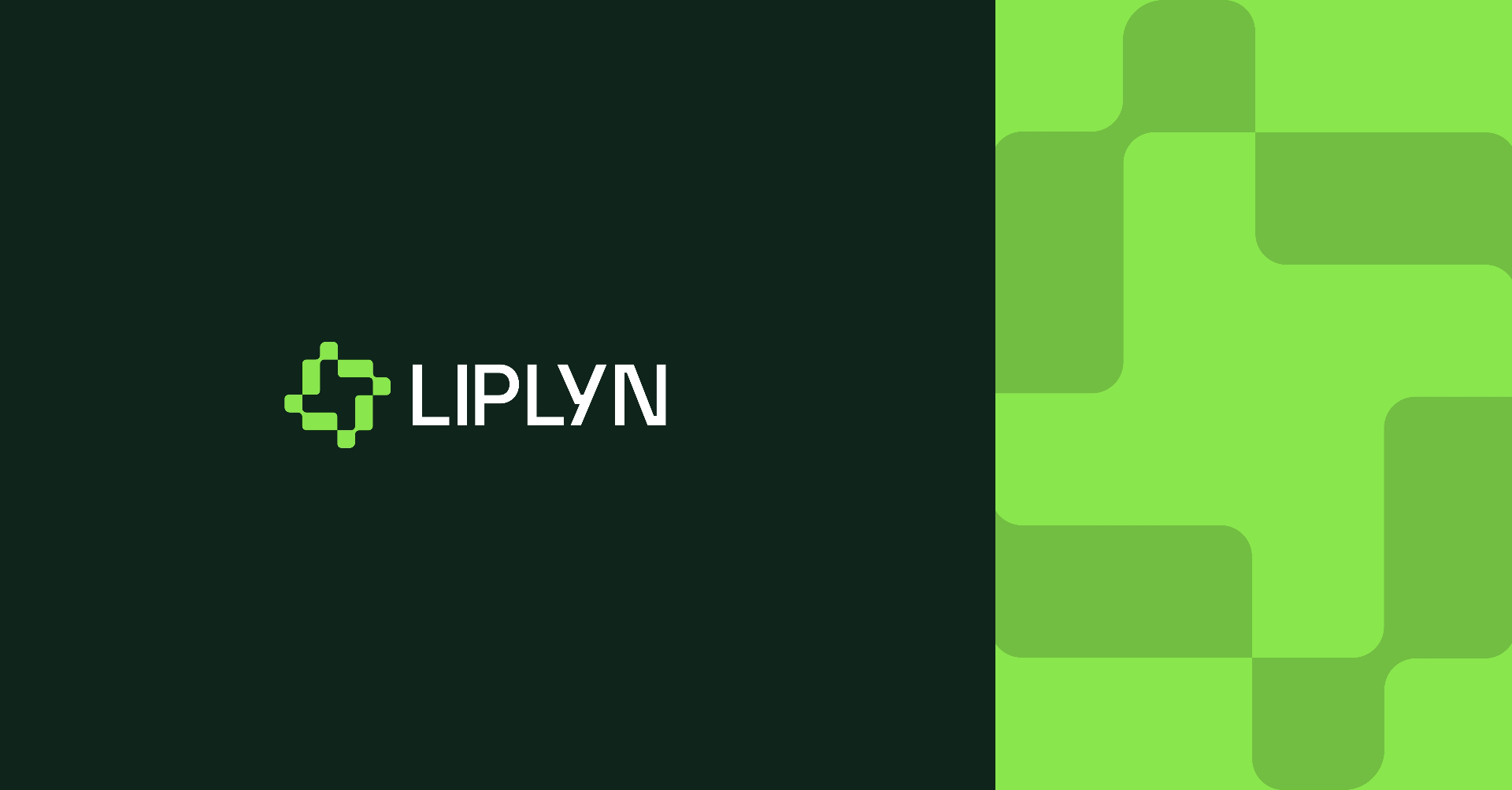 Liplyn website preview